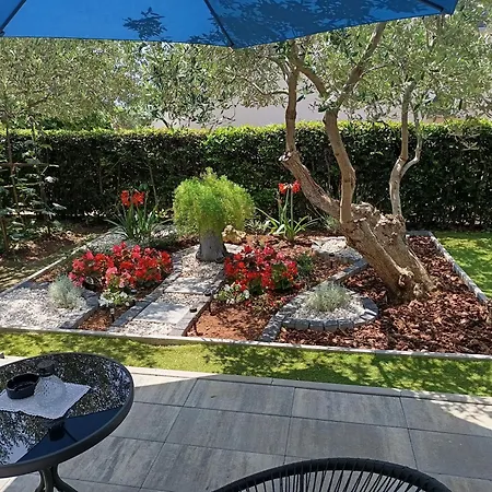 Garden *